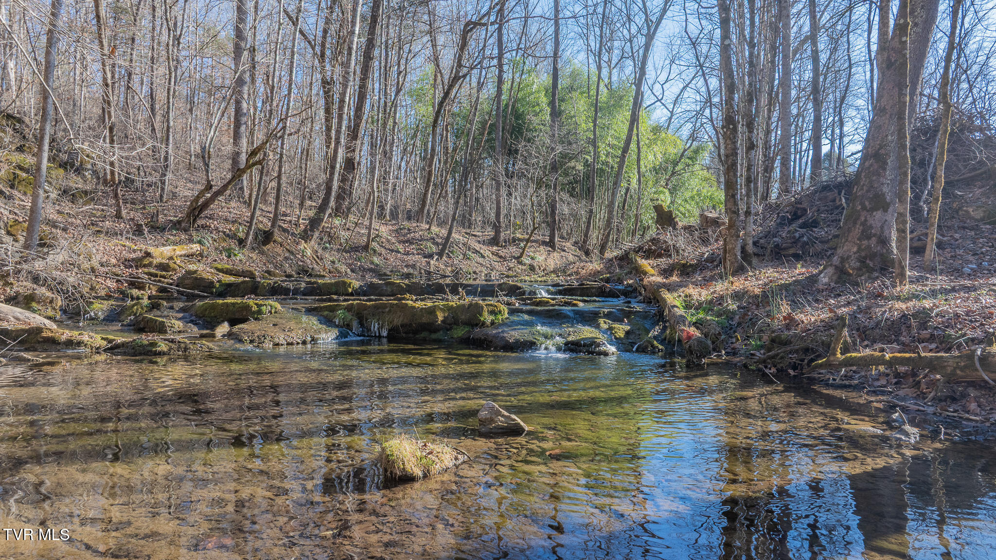 649 Gap Creek Road Elizabethton, TN 37643 - Photo 39 of 46 dji_fly_20260120_144404_0364_17689386114