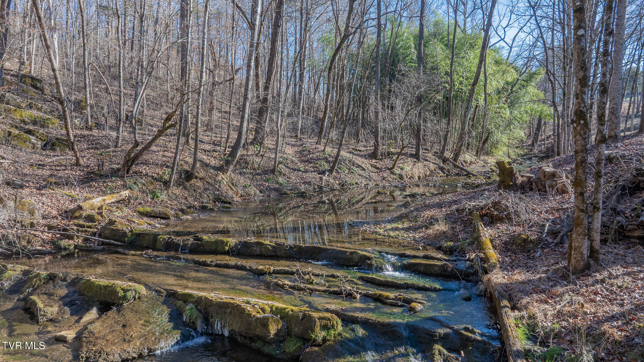 649 Gap Creek Road Elizabethton, TN 37643 - Photo 40 of 46 dji_fly_20260120_144436_0367_17689386080