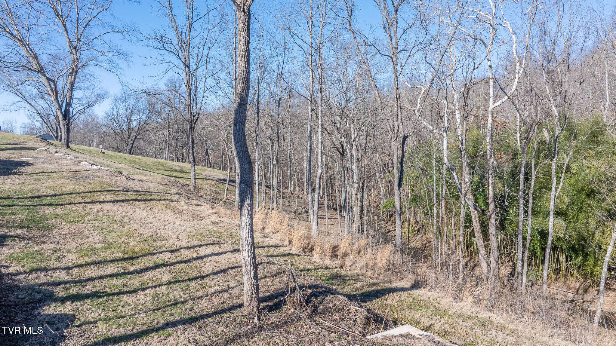 649 Gap Creek Road Elizabethton, TN 37643 - Photo 45 of 46 dji_fly_20260120_144812_0385_17689385853