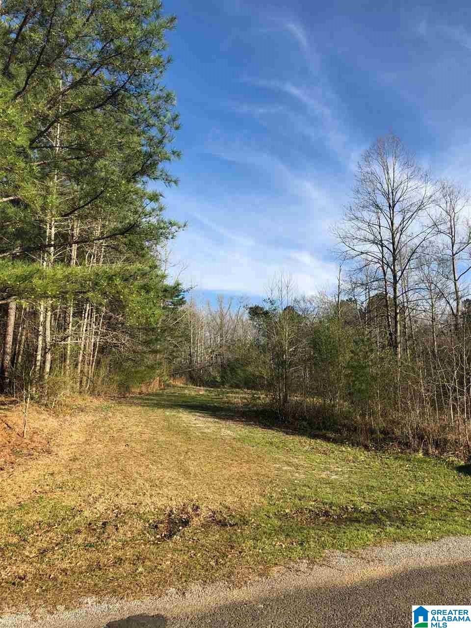 1000 Mulberry Hills Road Hayden, AL 35079 - Photo 1 of 12