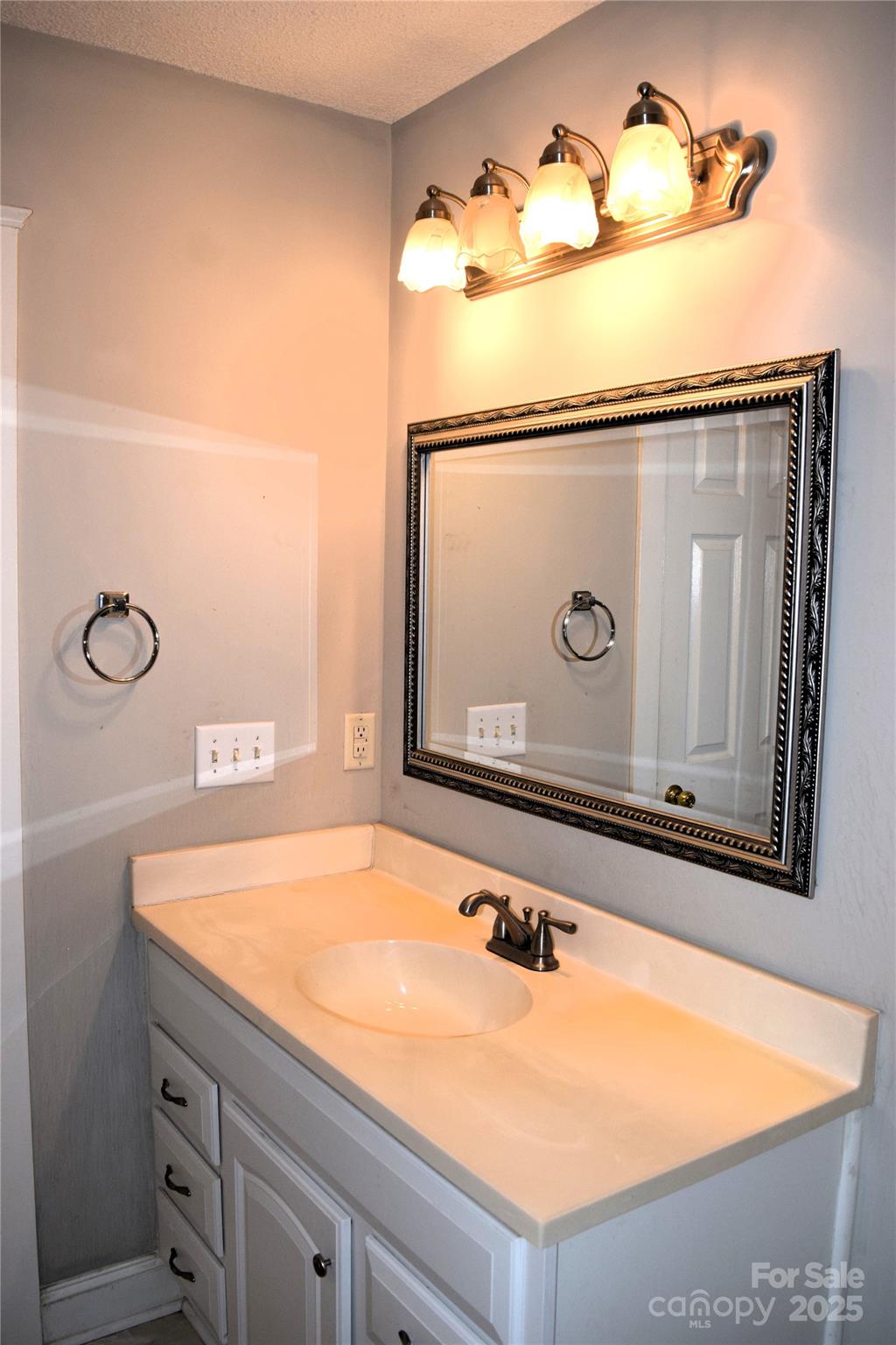 13840 Hastings Farm Road Huntersville, NC 28078 - Photo 28 of 32 a bathroom with a sink and a mirror