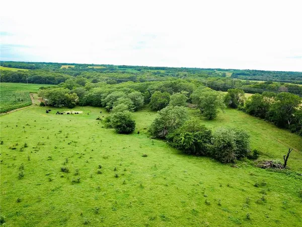 $688,000 | Northwest Grant Road, Maysville, MO 64469