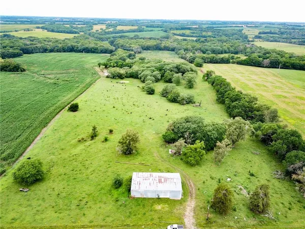 $688,000 | Northwest Grant Road, Maysville, MO 64469