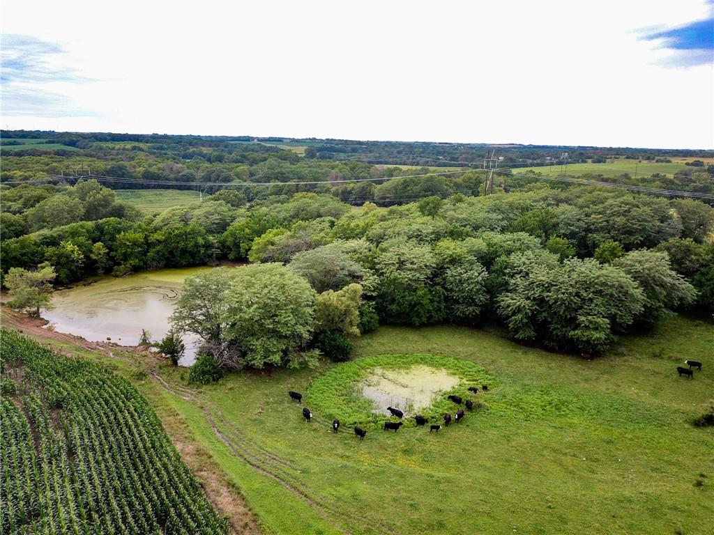 Northwest Grant Road Maysville, MO 64469 - Photo 2 of 46