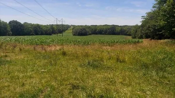 $688,000 | Northwest Grant Road, Maysville, MO 64469