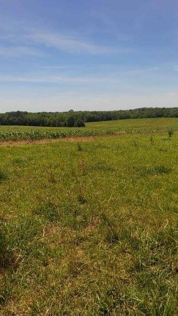 Northwest Grant Road Maysville, MO 64469 - Photo 27 of 46