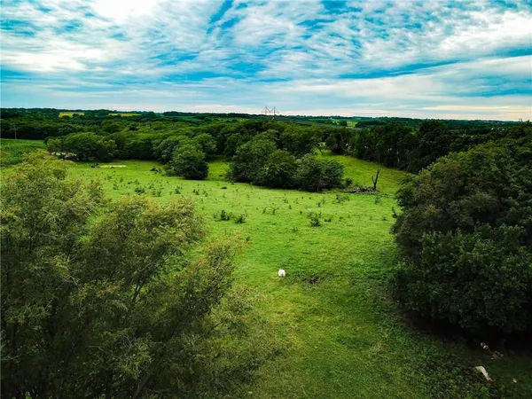 $688,000 | Northwest Grant Road, Maysville, MO 64469