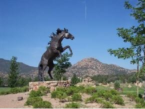 9980 North Equine Road Prescott, AZ 86305 - Photo 11 of 11 Additional Photo