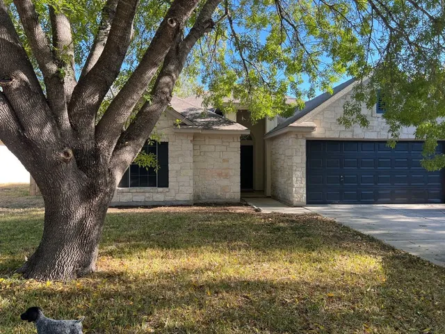 a house with a tree in front of it