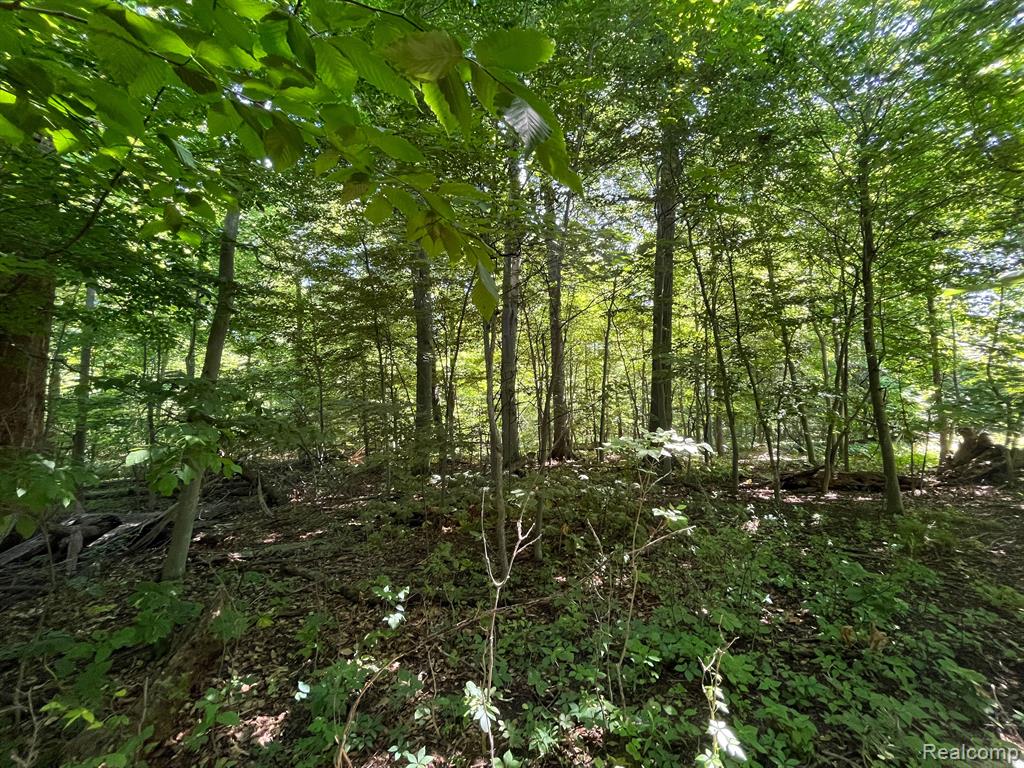 Lot B Lot B Sites Road Lapeer, MI 48446 - Photo 2 of 4