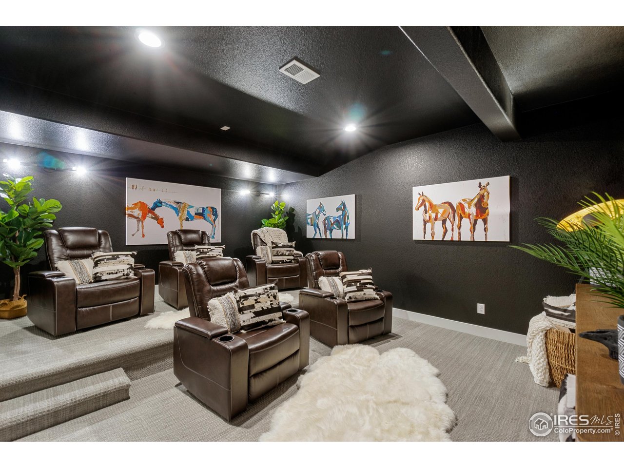 2045 Morningstar Way Fort Collins, CO 80524 - Photo 29 of 35 Basement Theater Room!