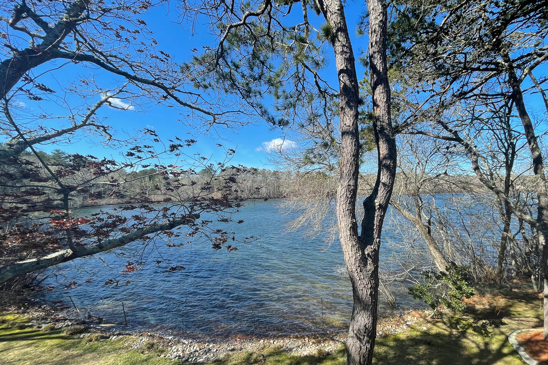 65 Santuit Lane Mashpee, MA 02649 - Photo 46 of 52 a view of a yard with lots of green space