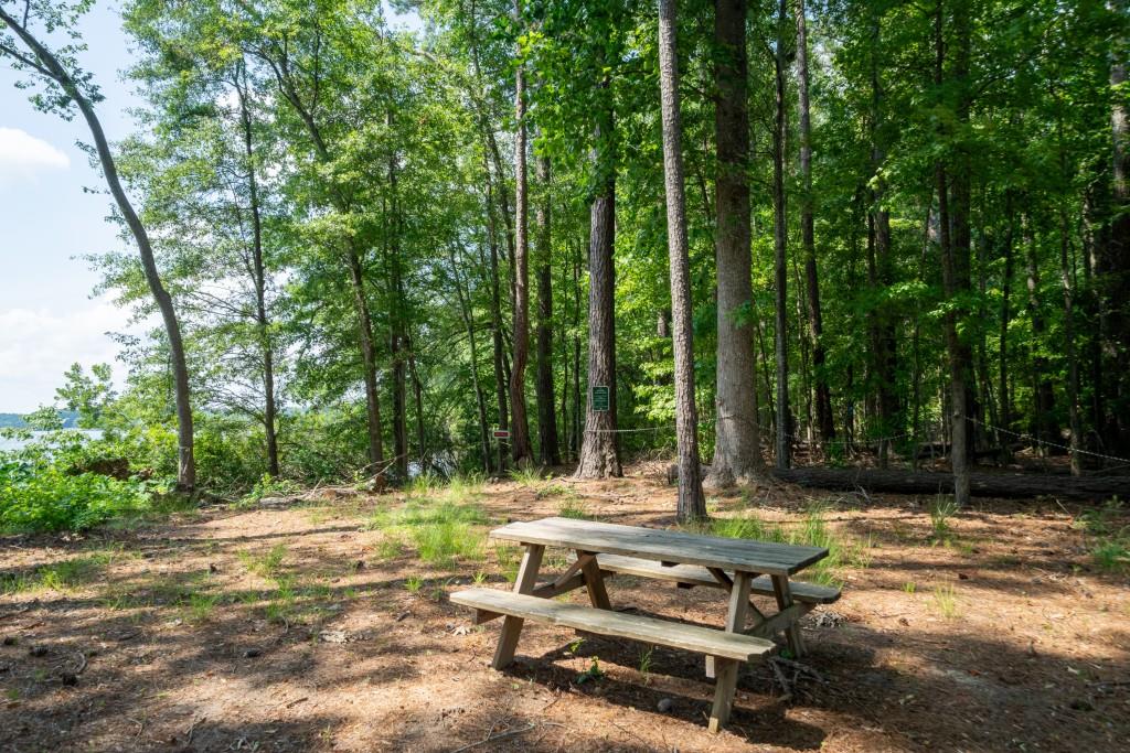 1231 Spinnaker Road Buckhead, GA 30625 - Photo 73 of 86