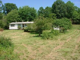 1446 Hopkins Road Rocky Mount, VA 24151 - Photo 7 of 9 a view of a backyard with plants and large trees