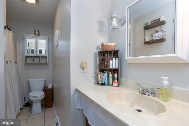 a bathroom with a sink and a toilet