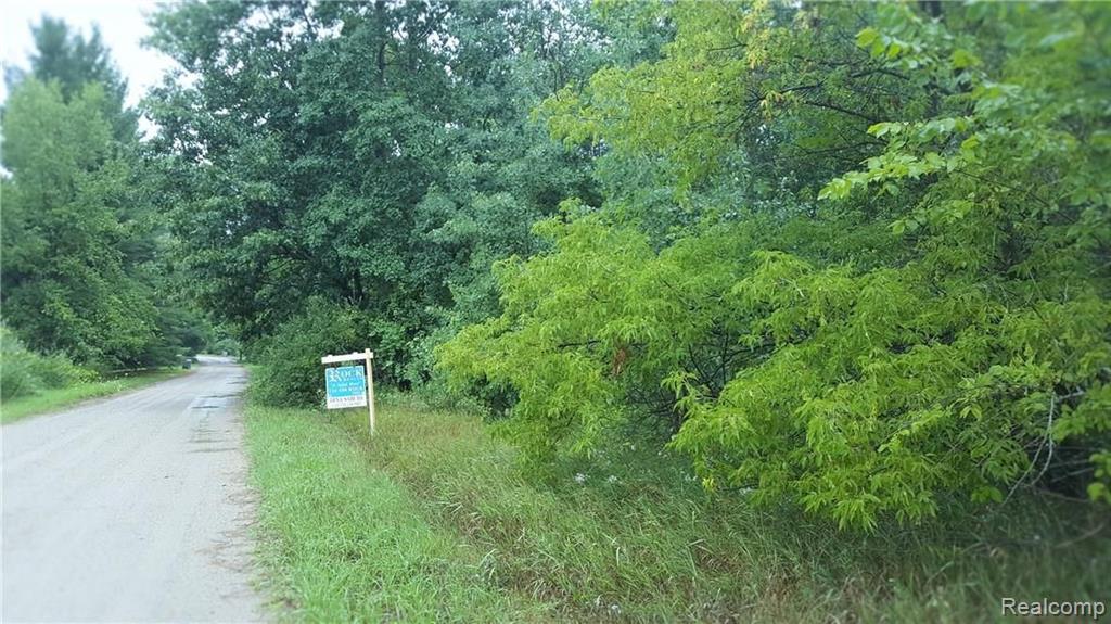 Parcel Dutton Road Gregory, MI 48137 - Photo 2 of 5