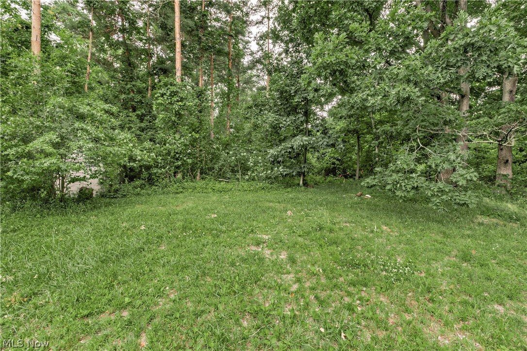 6205 River Road Madison, OH 44057 - Photo 48 of 50