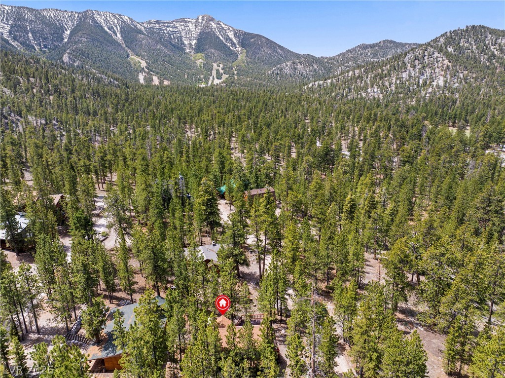 2146 Via Spes Nostra Street Mount Charleston, NV 89124 - Photo 33 of 33 Nestled amidst a verdant forest, this property boasts mountain views and natural tranquility.