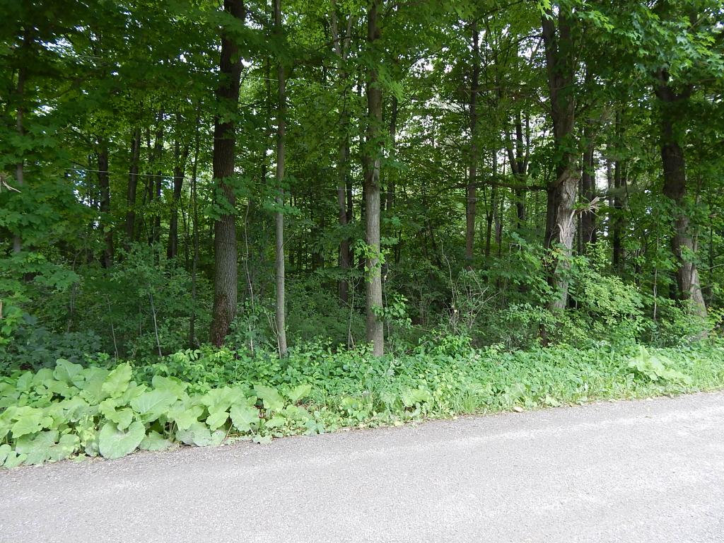 0 Lapham Bay Road Shoreham, VT 05770 - Photo 1 of 4