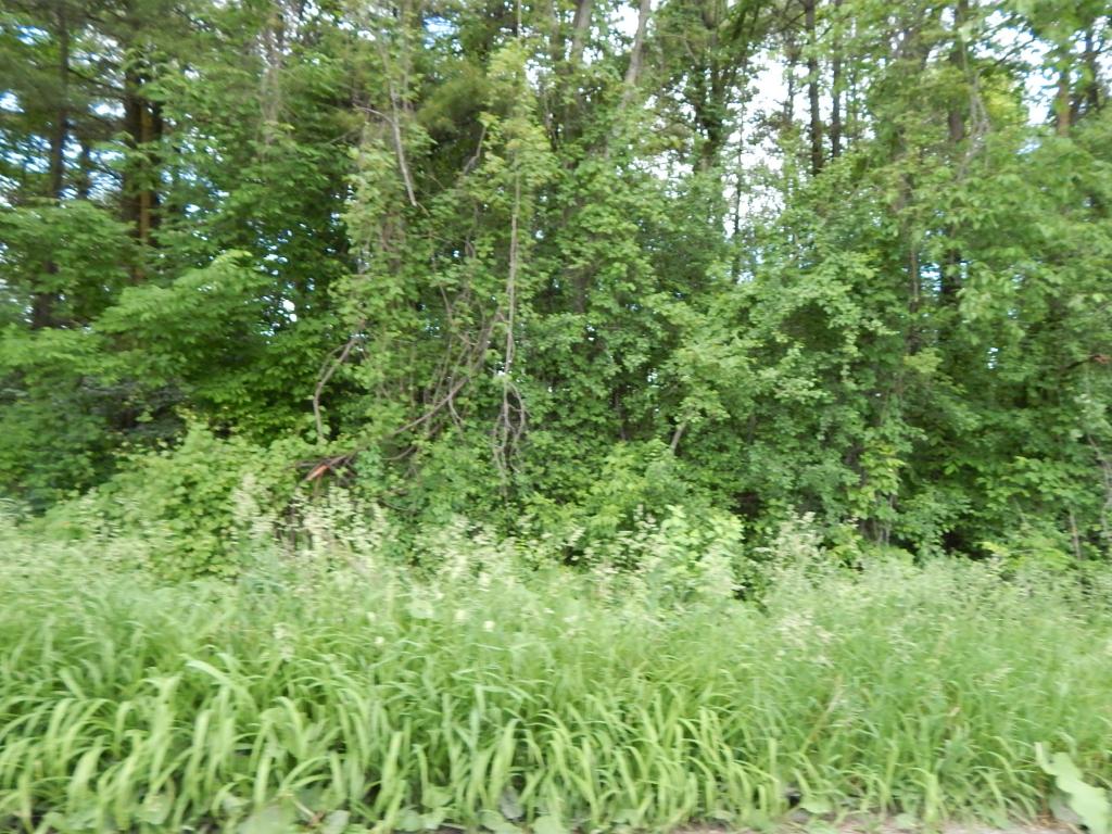 0 Lapham Bay Road Shoreham, VT 05770 - Photo 2 of 4