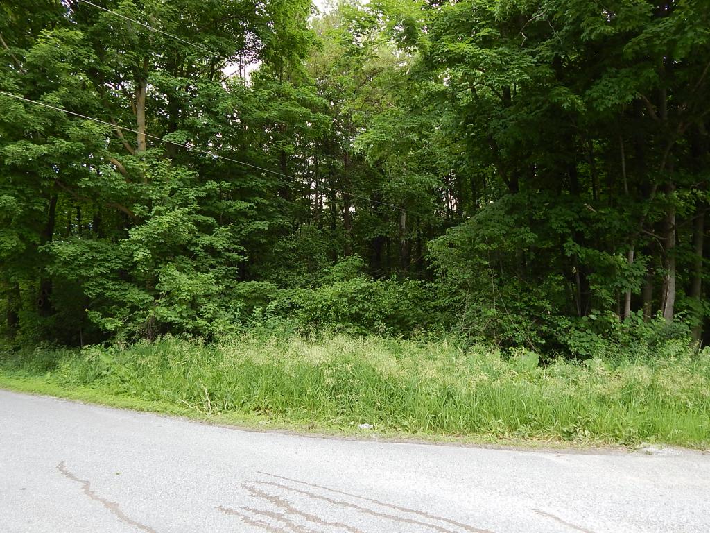 0 Lapham Bay Road Shoreham, VT 05770 - Photo 4 of 4