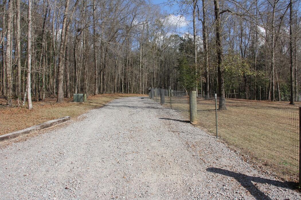 6611 North Road North, SC 29112 - Photo 19 of 46 IMG_9779