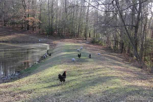 $649,000 | 6611 North Road, North, SC 29112