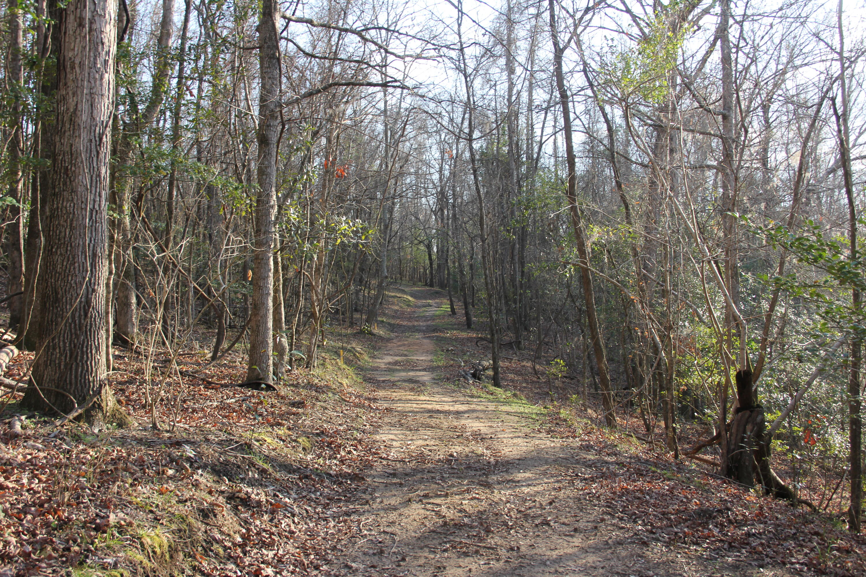 6611 North Road North, SC 29112 - Photo 37 of 46 IMG_9820