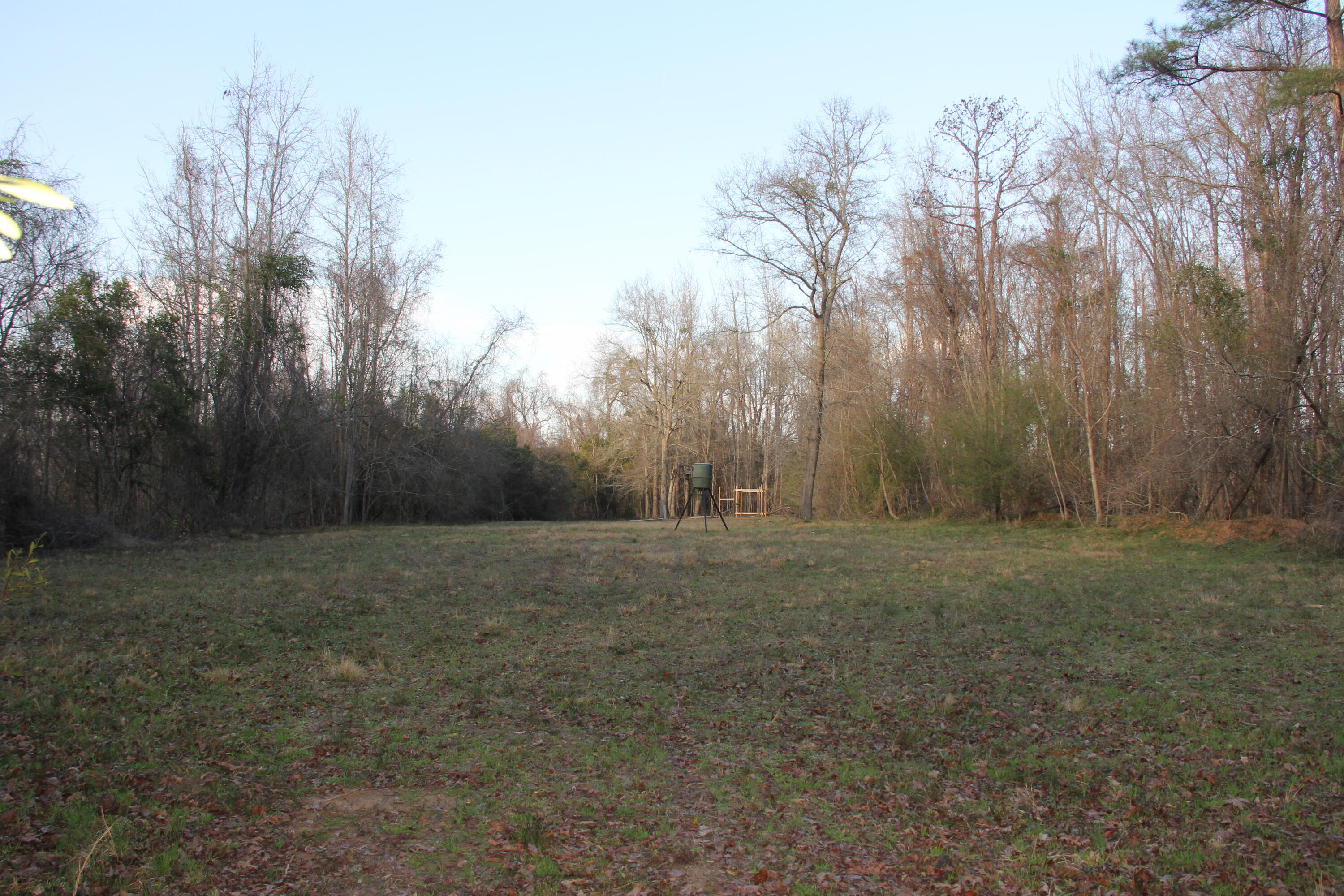 6611 North Road North, SC 29112 - Photo 41 of 46 IMG_9827