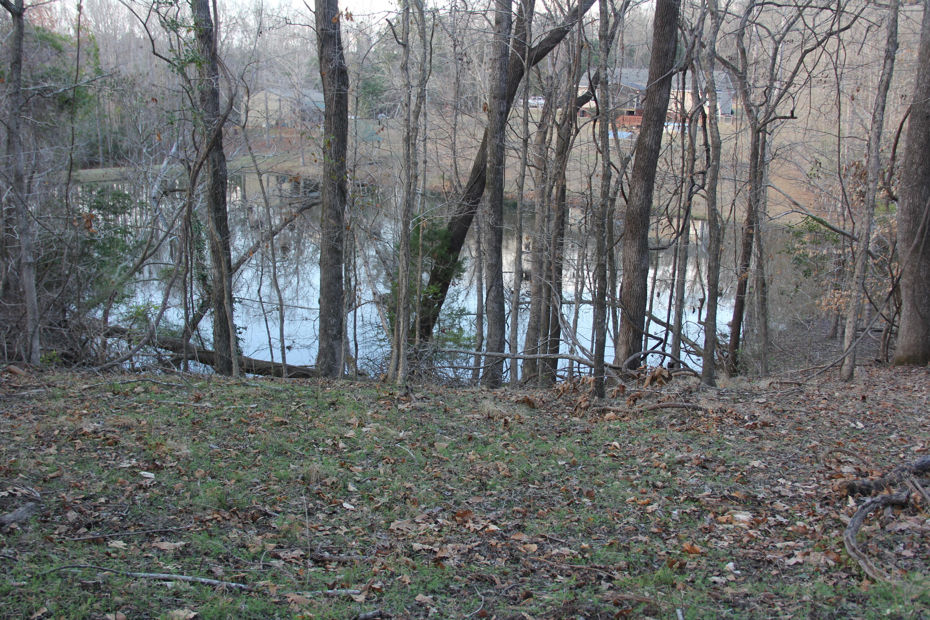 6611 North Road North, SC 29112 - Photo 42 of 46 IMG_9834