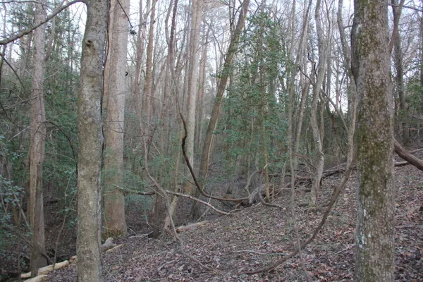 $649,000 | 6611 North Road, North, SC 29112