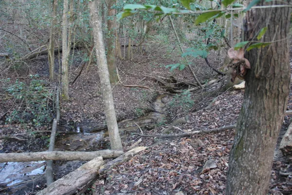 $649,000 | 6611 North Road, North, SC 29112