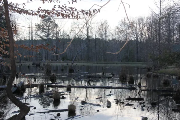 $649,000 | 6611 North Road, North, SC 29112