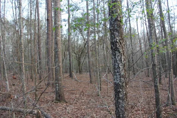 $649,000 | 6611 North Road, North, SC 29112