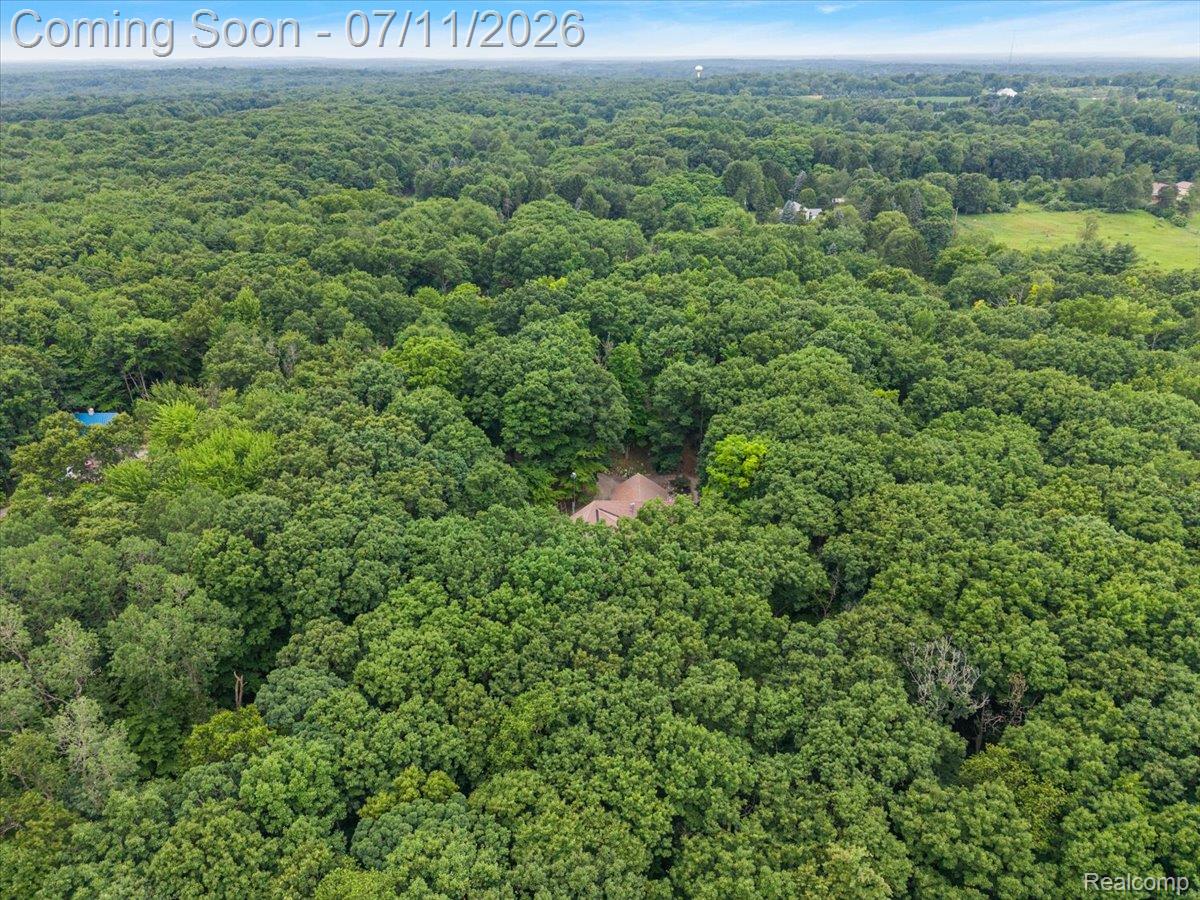 4219 Gardner Road Metamora, MI 48455 - Photo 6 of 87 Expansive treed landscape featuring a secluded property with a visible roofline