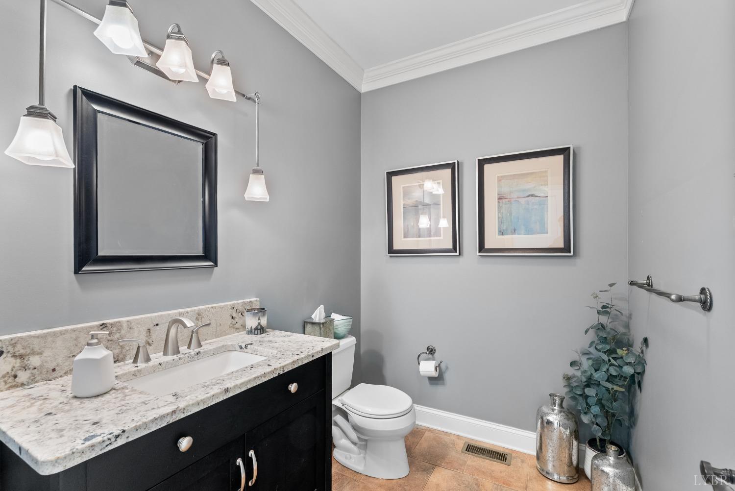 1249 Lees Mill Lane Goode, VA 24556 - Photo 29 of 98 a bathroom with a granite countertop toilet sink and mirror