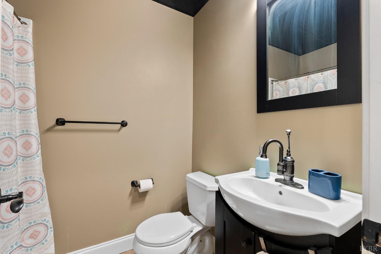 1249 Lees Mill Lane Goode, VA 24556 - Photo 65 of 98 a bathroom with a sink a toilet and mirror