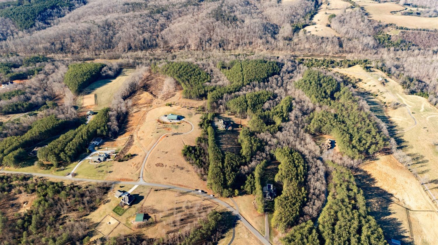 1249 Lees Mill Lane Goode, VA 24556 - Photo 74 of 98