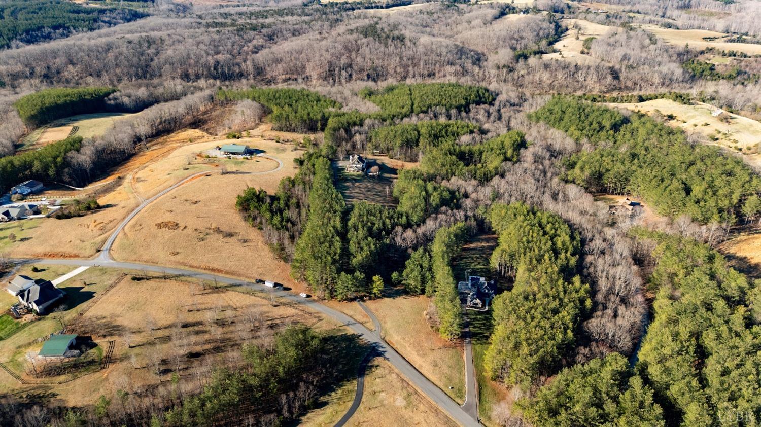 1249 Lees Mill Lane Goode, VA 24556 - Photo 78 of 98 a view of a backyard of a house