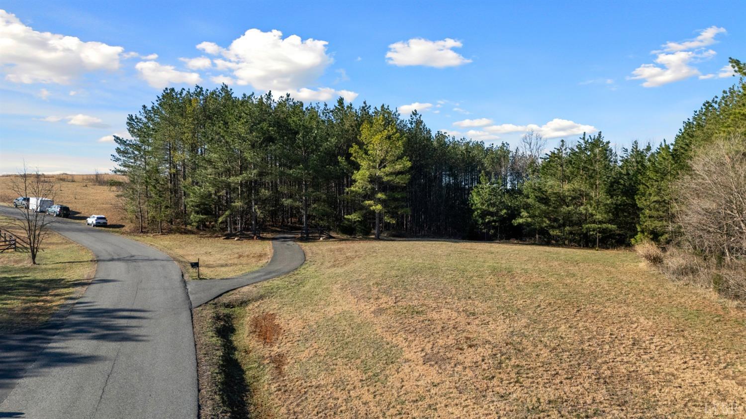 1249 Lees Mill Lane Goode, VA 24556 - Photo 79 of 98