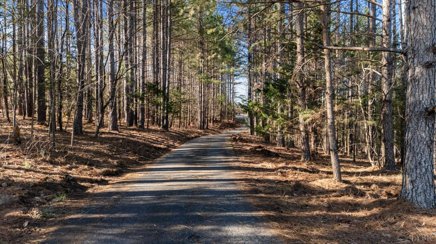 1249 Lees Mill Lane Goode, VA 24556 - Photo 80 of 98