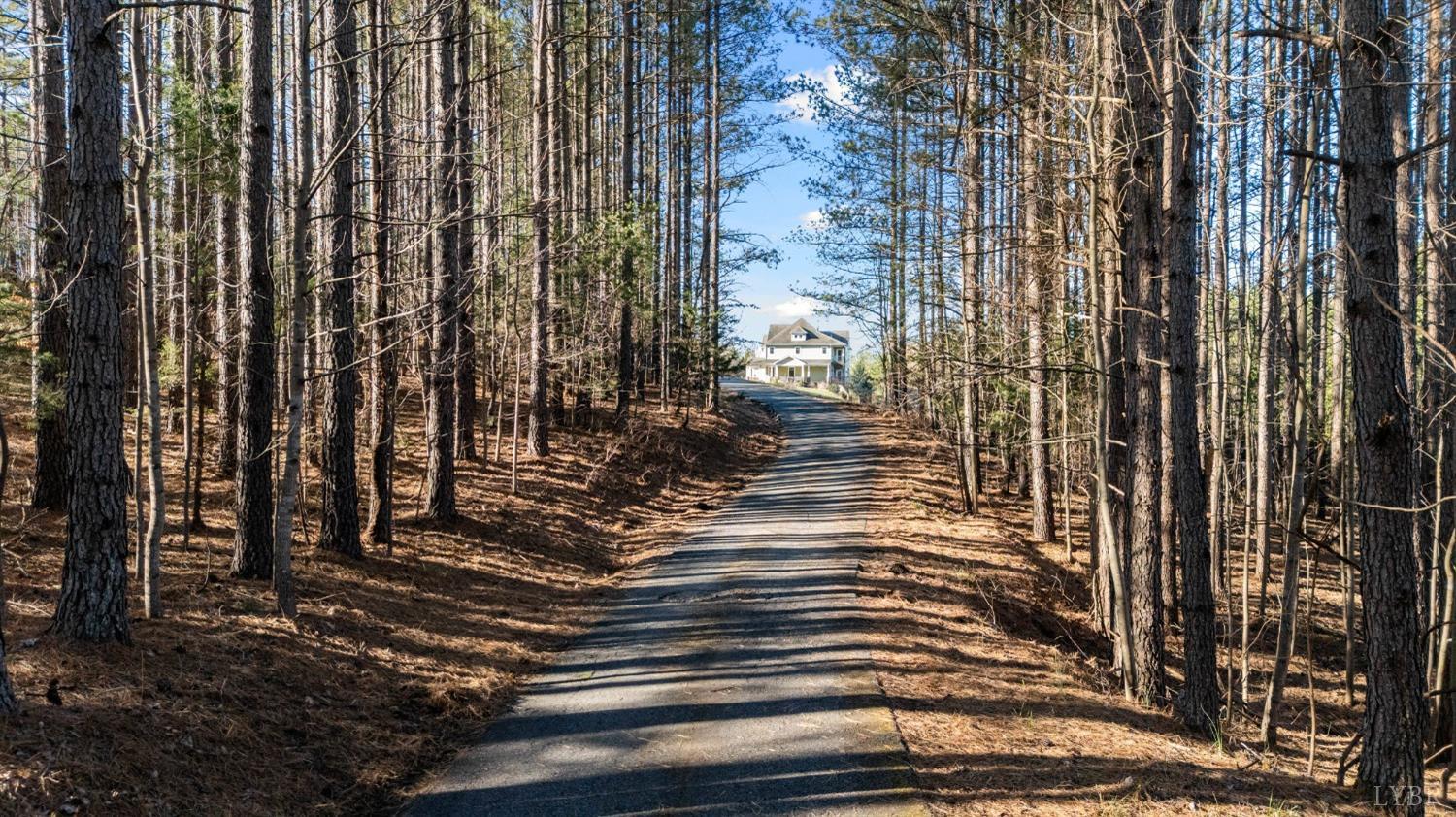 1249 Lees Mill Lane Goode, VA 24556 - Photo 81 of 98