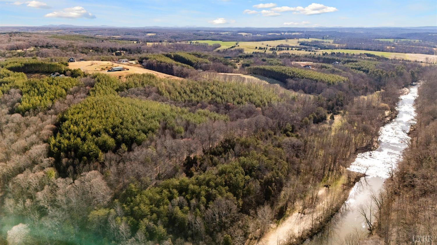 1249 Lees Mill Lane Goode, VA 24556 - Photo 88 of 98