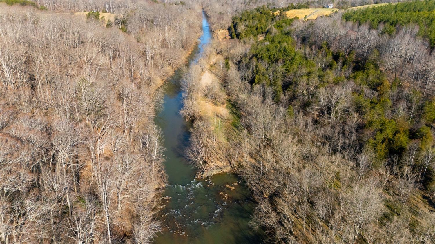 1249 Lees Mill Lane Goode, VA 24556 - Photo 90 of 98