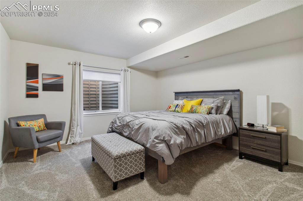 5655 Sonnet Ridge Point Colorado Springs, CO 80918 - Photo 31 of 47 Private basement bedroom
