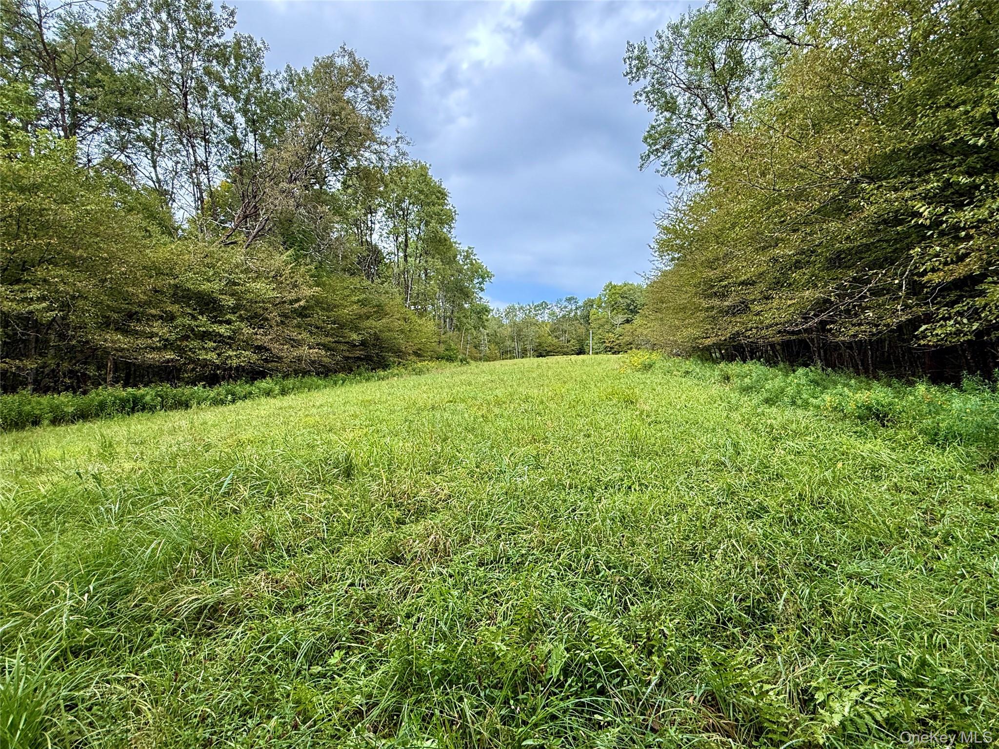 216 Neer Road Long Eddy, NY 12760 - Photo 23 of 48