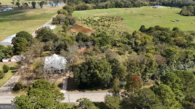 a view of a yard with a tree