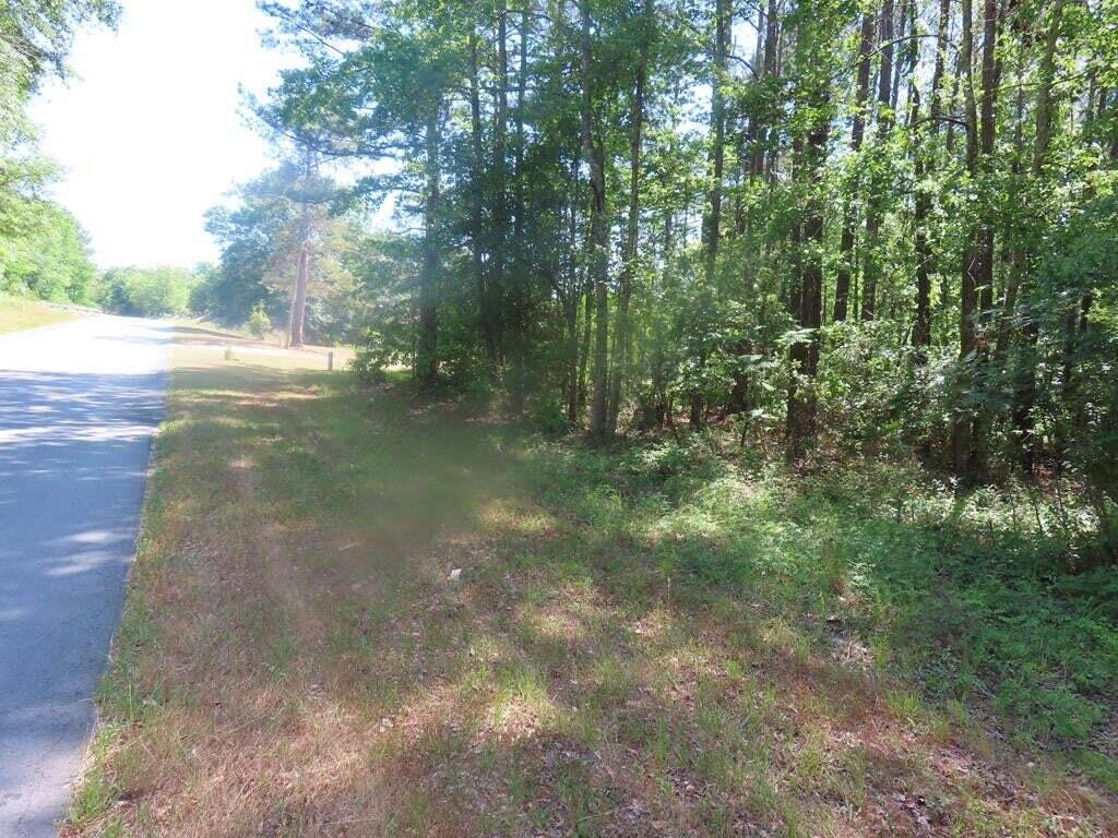 0 Garvey Road Summerton, SC 29148 - Photo 3 of 3