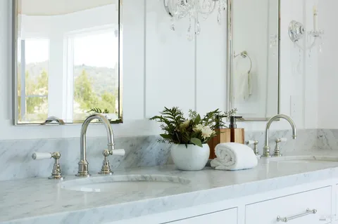 a bathroom sink with a potted plant