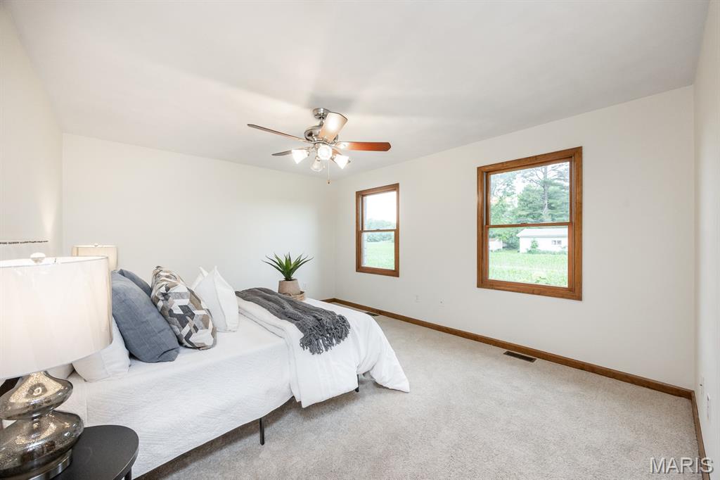 7045 Brickyard Road Mascoutah, IL 62258 - Photo 13 of 43